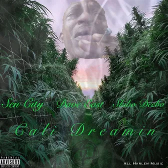 Cali Dreamin by All Harlem Music