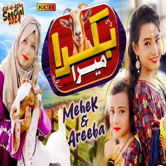 Bakra Mera by Areeba