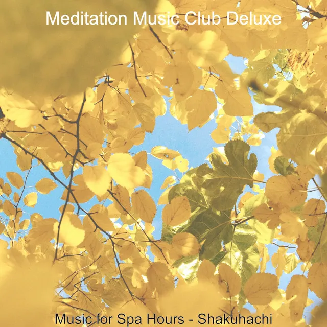 Music for Spa Hours - Shakuhachi