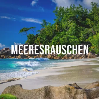 Meeresrauschen: Soothing Sounds of the Sea When It Hits the Beach White Noise Against Winter Depresion by Deep Ocean Relax