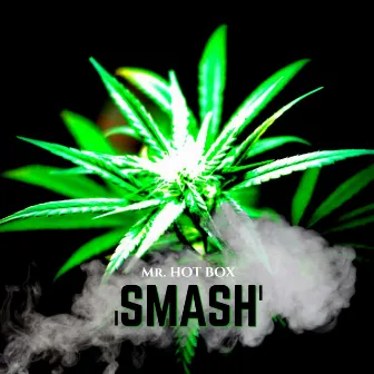 SMASH by Hot Box