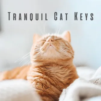 Tranquil Cat Keys: Reflective Piano Melodies for Kitty Contentment by Vincent & A Secret