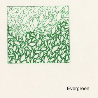 Evergreen by Caitlin LM