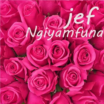 Ngiyamfuna by JEF RSA