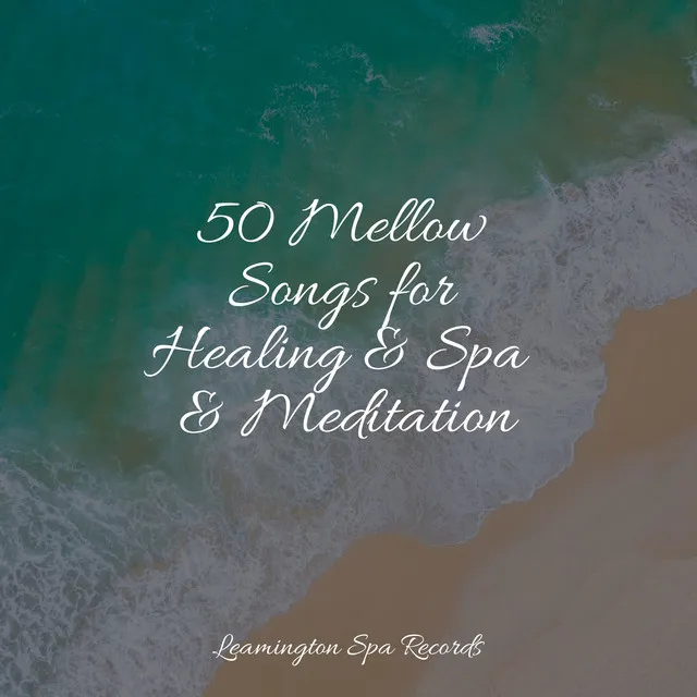 50 Mellow Songs for Healing & Spa & Meditation