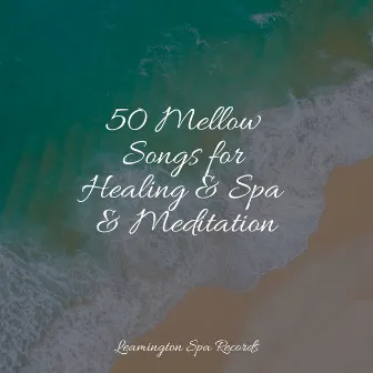 50 Mellow Songs for Healing & Spa & Meditation by Oceanic Yoga Pros