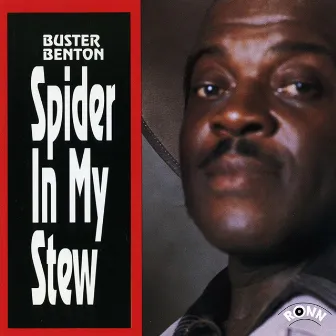 Spider in My Stew by Buster Benton