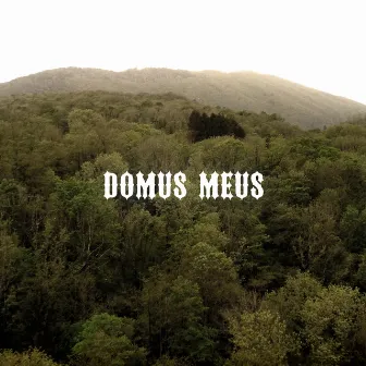 Domus Meus by Umberto Maria Giardini