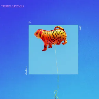 Disfraz de Tigre by Tigres Leones