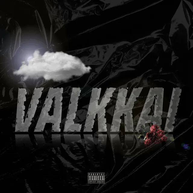 Valkkai