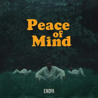 Peace of Mind by Endia