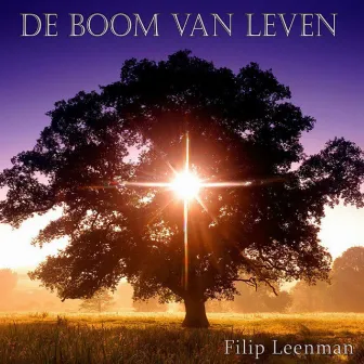 Boom Van Leven by Filip Leenman