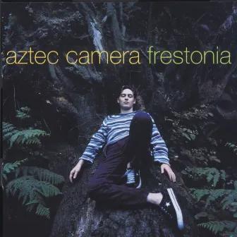 Frestonia by Aztec Camera