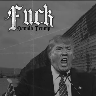 Fuck Donald Trump by The Sikc One