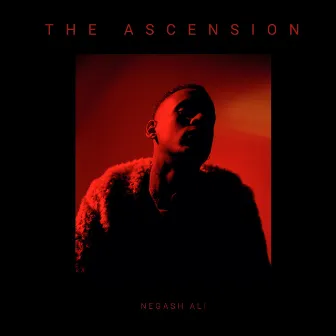 The Ascension by Negash Ali