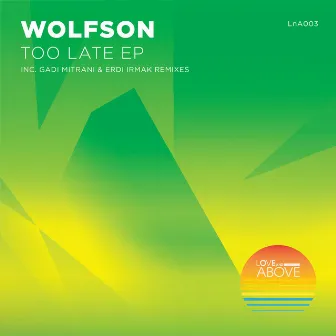 Too Late by Wolfson