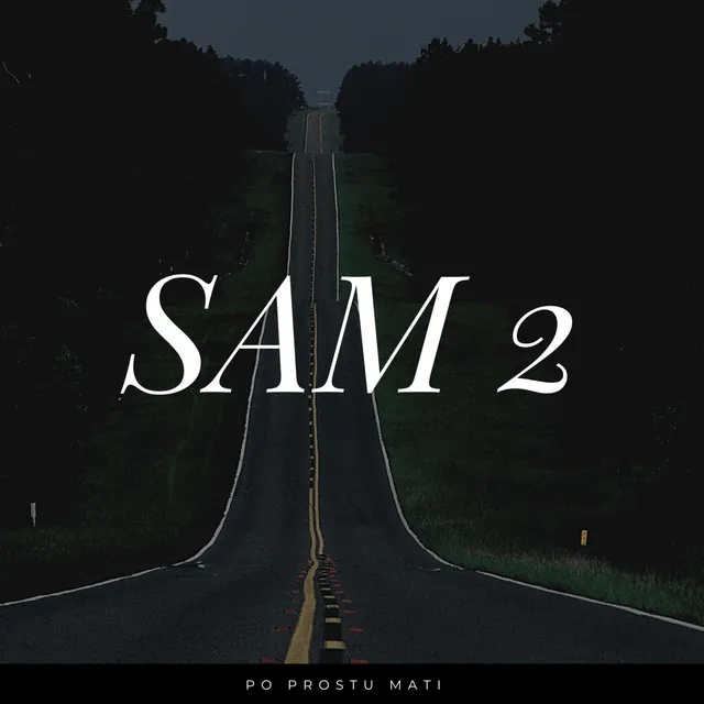 SAM 2