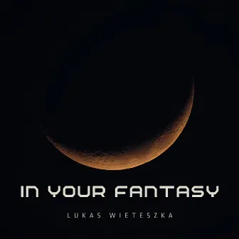 In Your Fantasy by Lukas Wieteszka