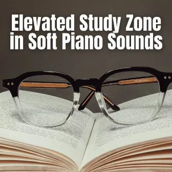 Elevated Study Zone in Soft Piano Sounds by Study Music Experience