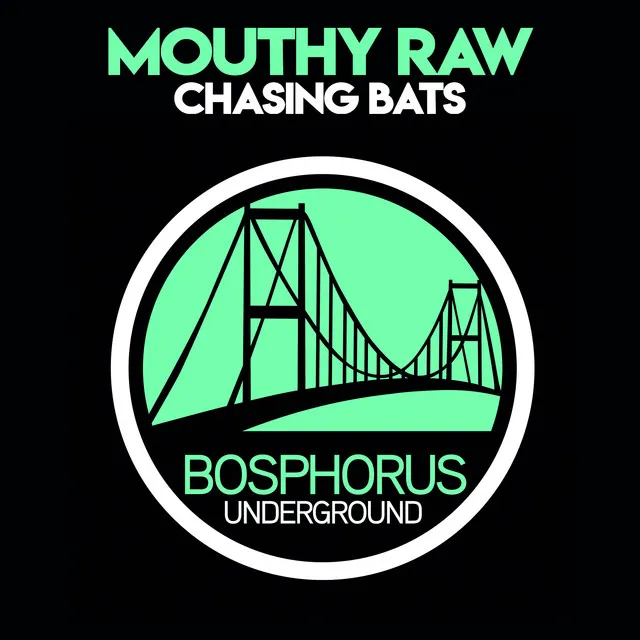 Chasing Bats - Justin Carey Remix