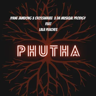 Phutha (feat. Lala Peaches) by Iyane Jamdong