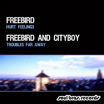 Hurt Feelings / Troubles Far Away by Freebird