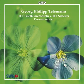 Telemann, G.P.: Chamber Music (Parnassi Musici) by Parnassi Musici