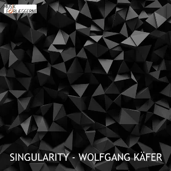 Singularity by Wolfgang Kafer