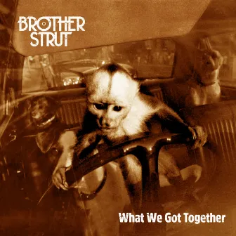 What We Got Together by Brother Strut