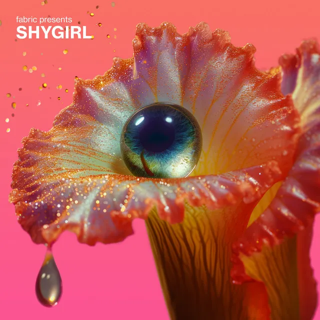 Love Shy - Mixed