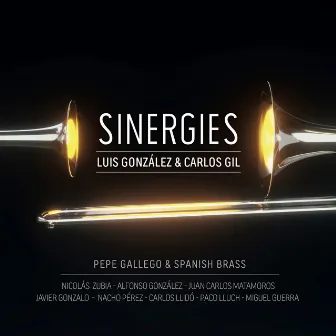 Sinergies by Unknown Artist