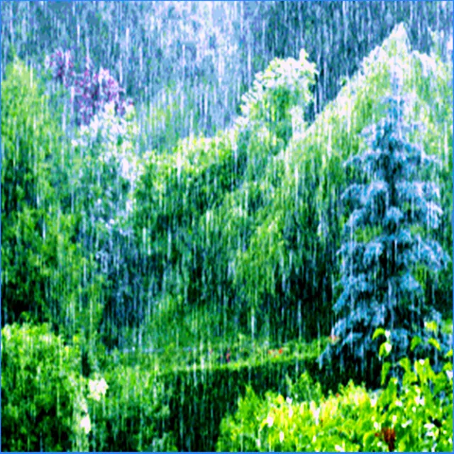 The Living Forest Rain (Loopable Soundscapes for Insomnia, Meditation, and Restless Children)