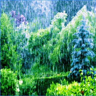 The Living Forest Rain (Loopable Soundscapes for Insomnia, Meditation, and Restless Children) by Outside Broadcast White Noise