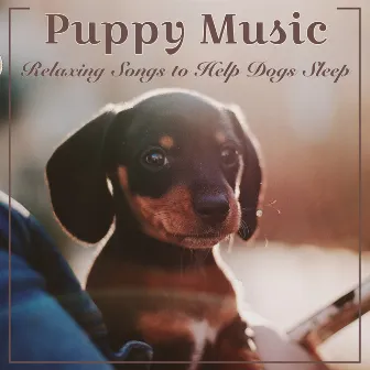 Puppy Music: Relaxing Songs to Help Dogs Sleep by Puppy Music Dreams