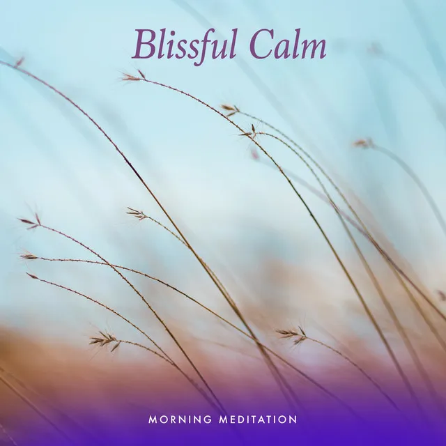 Blissful Calm