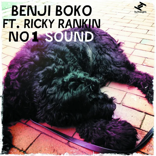 No.1 Sound (feat. Ricky Rankin) - Boy Com's Almighty Planet Remix