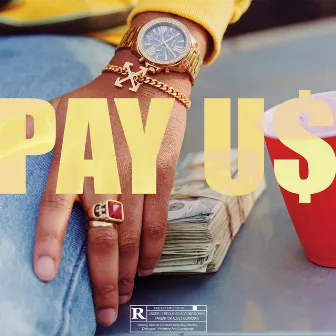 Pay U$ by CvpSet Martae