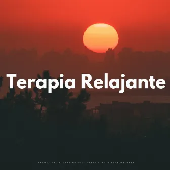 Alegre Brisa Para Masaje: Terapia Relajante Natural by Musica para Terapia de Masajes