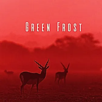 Green Frost by Rebecca Evans