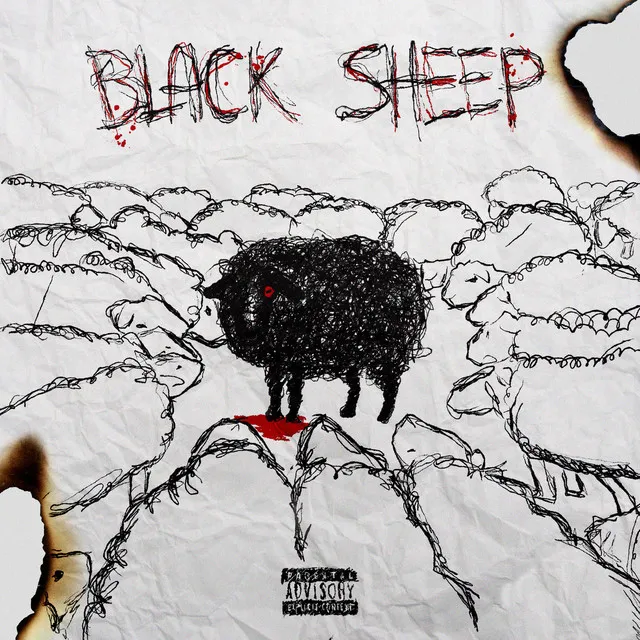 BLACK SHEEP