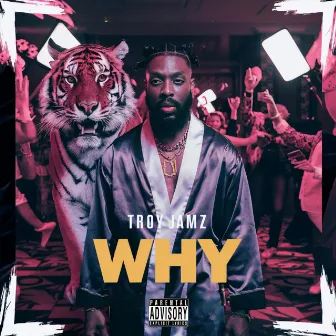 WHY by Troy Jamz