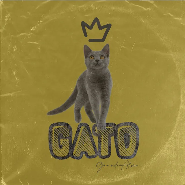 Gato