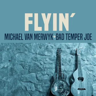 Flyin' by Michael van Merwyk