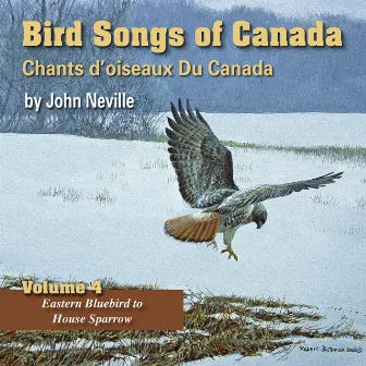 Bird Songs of Canada, Vol. 4 by John Neville