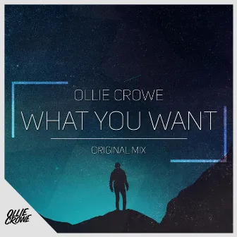 What You Want by Ollie Crowe