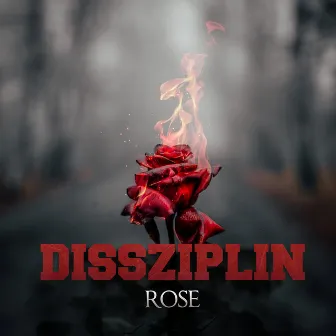 Rose by Dissziplin