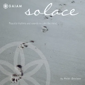 Solace by Peter Davison