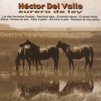 Surero De Ley by Héctor del Valle