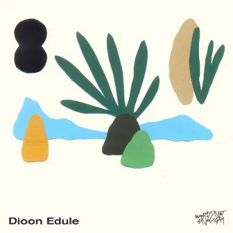 Dioon Edule by Nicolas Giordano