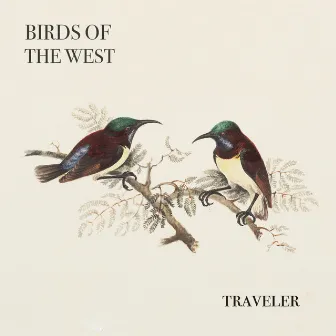 Traveler by Birds Of The West